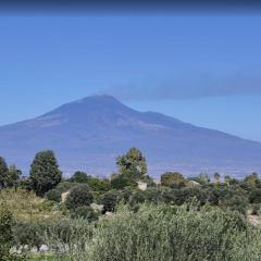 Heron House Appartaments