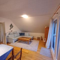 Ferienwohnung in Stadtnähe