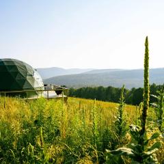 Catskills Glamping at 'The Deer Dome' in Franklin