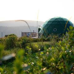 Glamping Getaway at 'The Coyote Dome' in Franklin