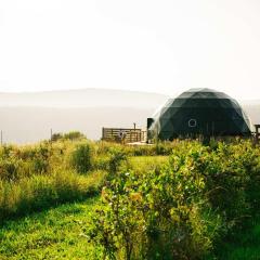 'The Bear Dome' with Barrel Hot Tub in Franklin