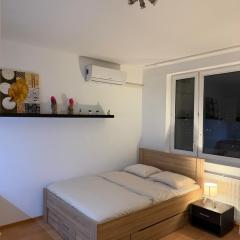 Cozy apartment near City Center with easy transport access