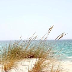 Chalets Paraíso Playa de Mazagón