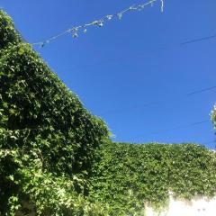 Sexta sección cercanía parques centro Relax