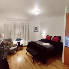 Cozy Nordic Studio in the Heart of Helsinki