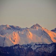 1,5 Zimmer Ferienwohnung