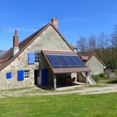 Maison rénovée avec espace bien-être, sauna, éco-gîte près de Moulins et Vichy - FR-1-489-290