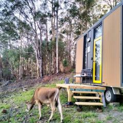 The Summit Sanctuary at Mountain Heart Retreat by Tiny Away