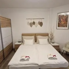 Fully renovated apartment by Anděl metro