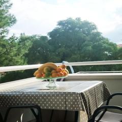 Apartments Despot Zaostrog