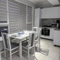 Apartament Aeroport Burebista 114