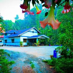 Green Palaces Homestay