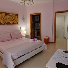 Boat dreams , garden relax