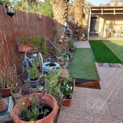 אצלנו בחצר - צימר לזוגות ומשפחות בדרום ים המלח