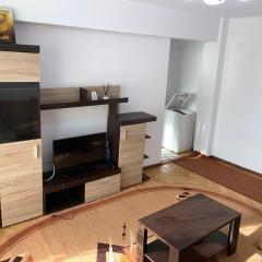 Old Center Apartment