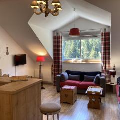 T2 avec vue sur les montagnes et wifi