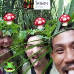 มาร์ติน ออแกนิคฟาร์ม &แค้มป์