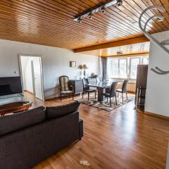 Beautiful apartment close to Basel with parking