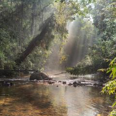Blue Magpie Lodge Sinharaja