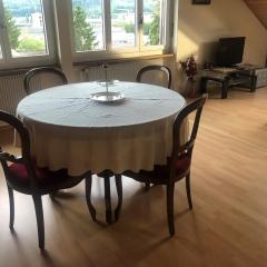 1-room apartment under roof with view