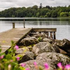 Nordic Family Home - Forest & Lake - 29 Min To CPH