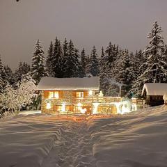 Chalet Le Plaigny - golf de Méribel