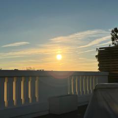 Paris Roland-Garros unique