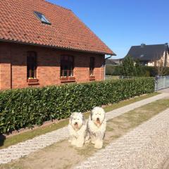 Gemütliches Ferienhaus In Godow Mit Terrasse