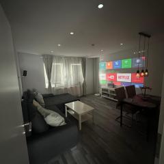 Stylish Home Theater Apartment 3
