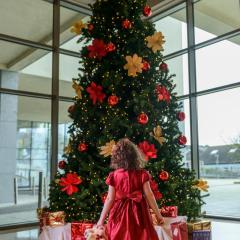 Shearwater Hotel & Spa