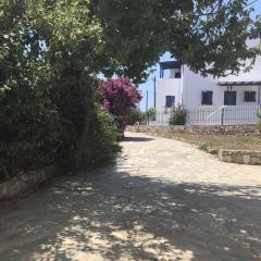 Cozy Apartment For Rent In Kythera