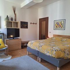 Stanza in appartamento condiviso nel centro storico di Parma