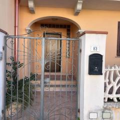 Le Mille e Una Notte II