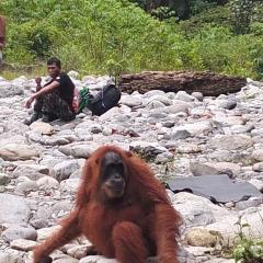 Dendi guest house official trekking