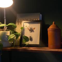 LA MORADA DEL ESCARABAJO CENTRO GTO i