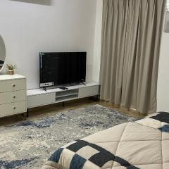 المسارات الدولية