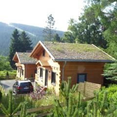 Harz - Blockhaus mit Sauna und Kamin, 4 und 5 Sterne, CH