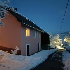 Ferienhaus Für 4 Personen Ca 65 M Sup2 In Brod Moravice, Gespanschaft Primorje Gorski Gorski Kotar