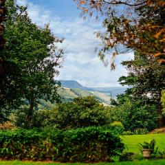 2 Bed in Machynlleth 93078