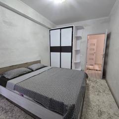 Двухкомнатная квартира на Телецентре