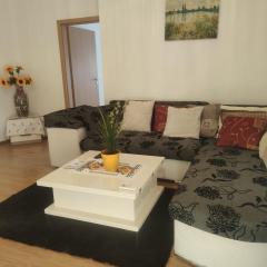 Apartmani FENIX Banja Koviljač̣a