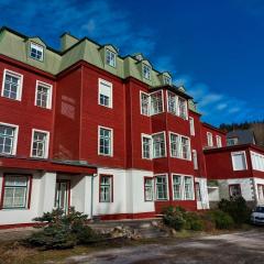 Špindl Cozy Apartment