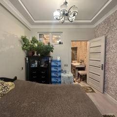 Rixard Baku Apartment