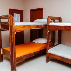 RisingSun Volunteers LBG