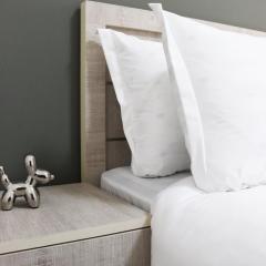 Domel Yerevan Amiryan 15