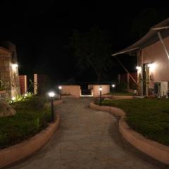 Wild Forest By Nirvana