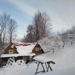 Котедж У потічка