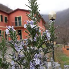 Villa Bella bed and breakfast