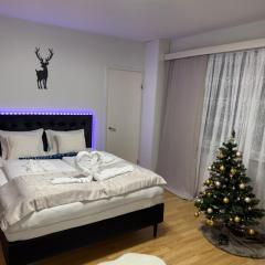 Aurora Sky Apartment