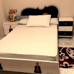 شقه مميزه بجوار متحف الحضارات وحدايق الفسطاط